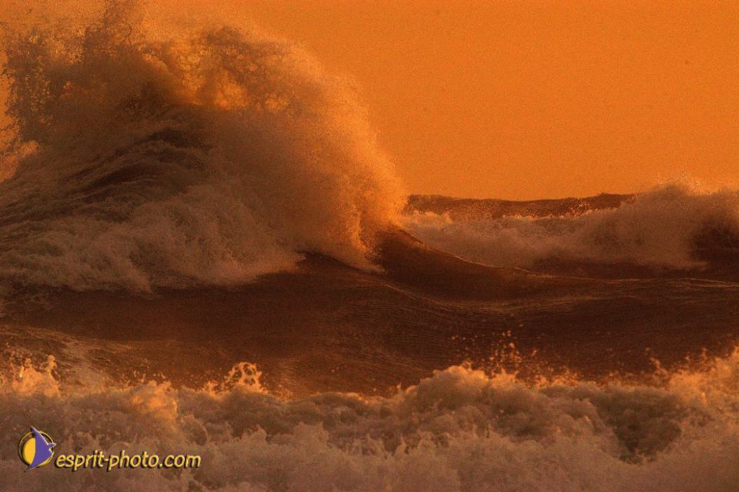 Nom de l'image : EP08-0381_(c)Norbert-JUNG — Description :